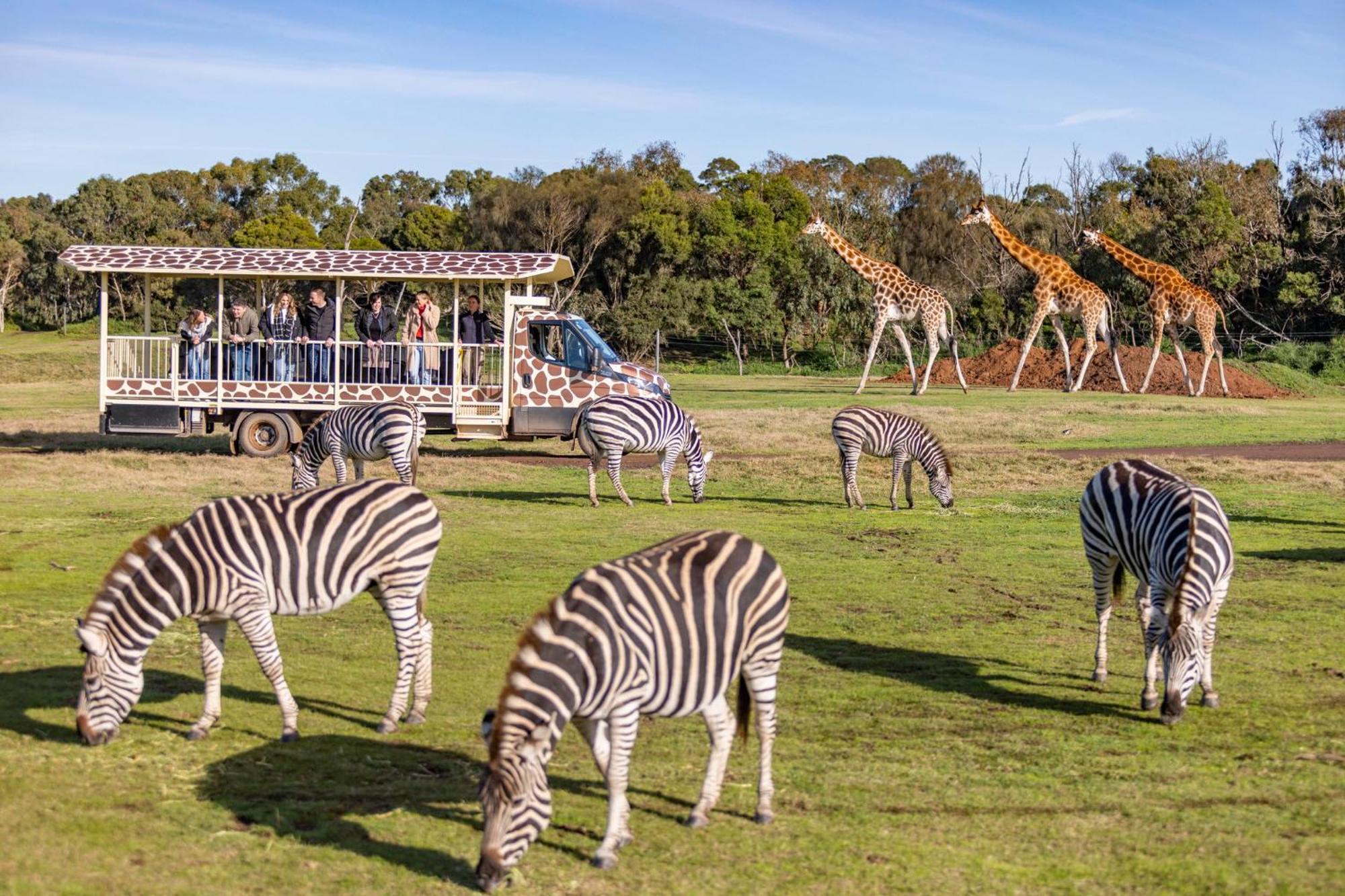 Holiday Inn Werribee By Ihg Esterno foto